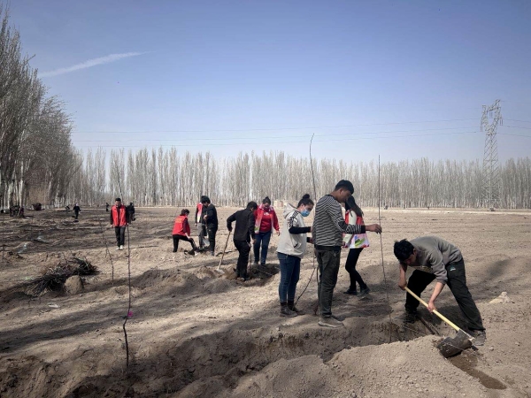 图片2.jpg 图片2.jpg