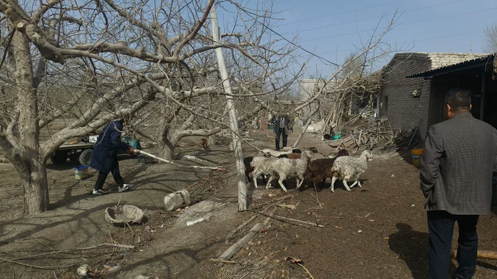 aacee0ef297a40e1ad166919d15cb1f9.png aacee0ef297a40e1ad166919d15cb1f9.png