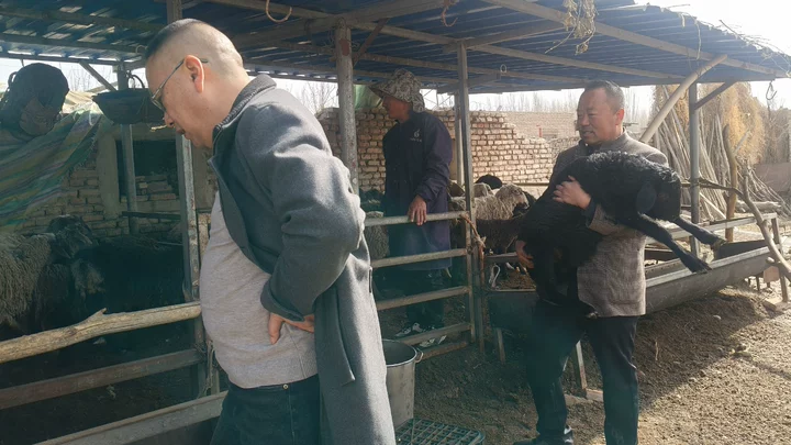 66485741cc2e4aec8751b33610d67c7d.png 66485741cc2e4aec8751b33610d67c7d.png