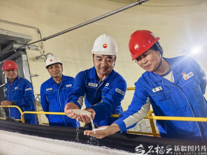 IMG_7831