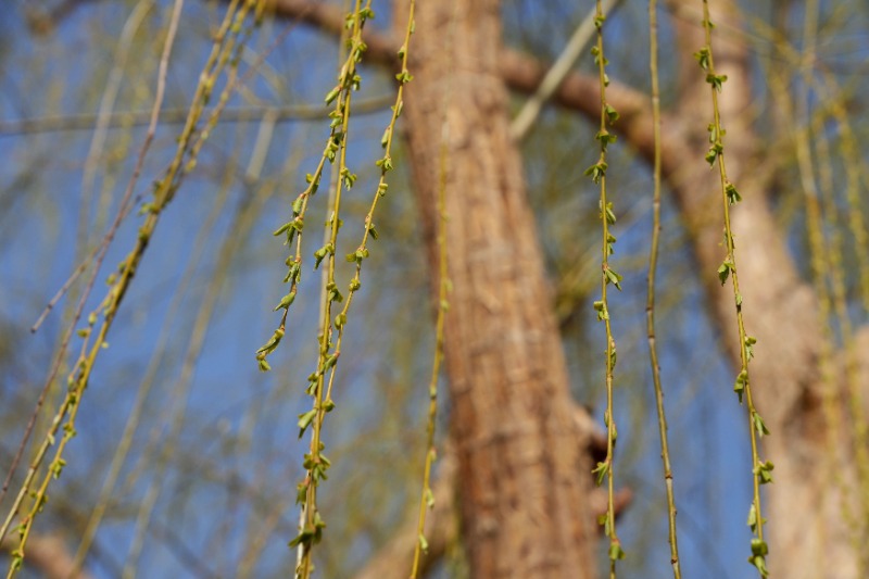 DSC07880_看图王_副本