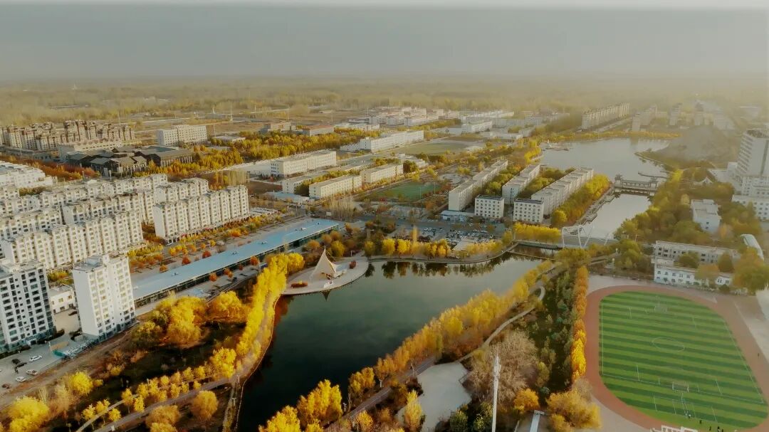 16166452095621.jpeg 图片