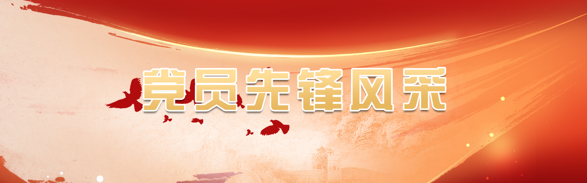  党员先锋风采